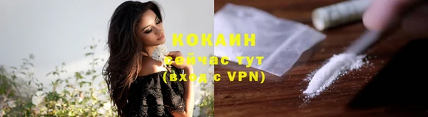 ECSTASY Вяземский