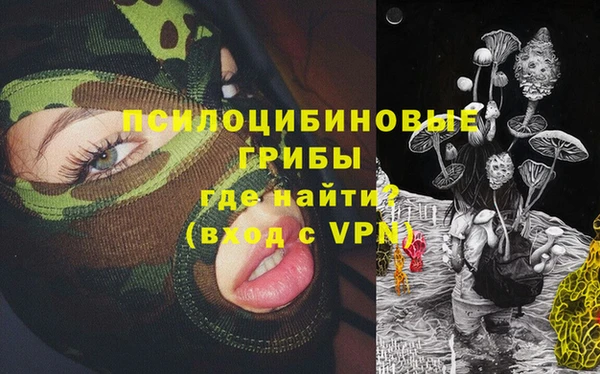 ECSTASY Вяземский