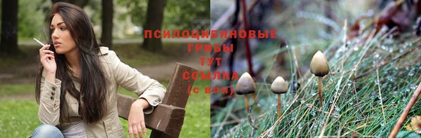 экстази Вязьма